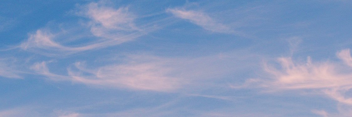 Alysha Vandertogt banner