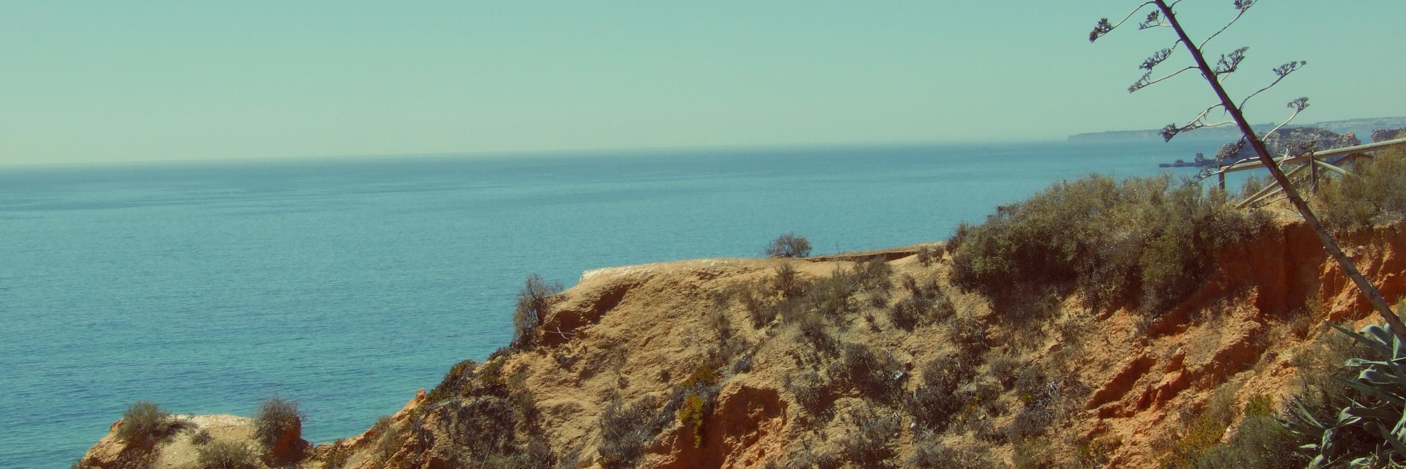 anitadelosreyes's profile banner image