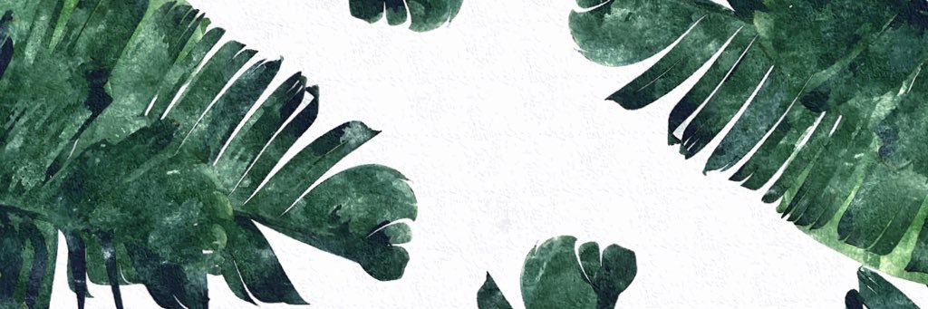 rinderr's profile banner image