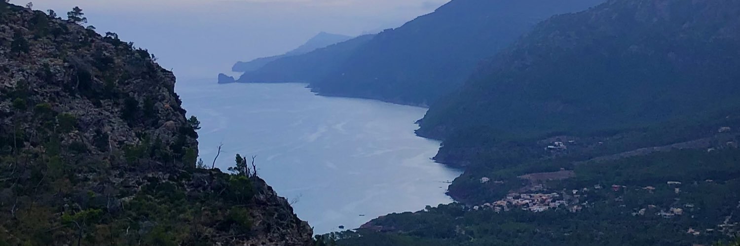 Fernando Vidal-Ostos De Lara banner