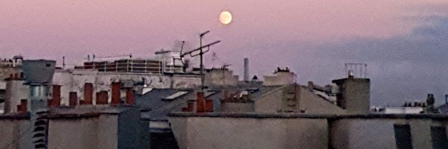 Queta G. Lizardi banner