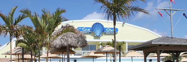 seashellLBI Profile Banner