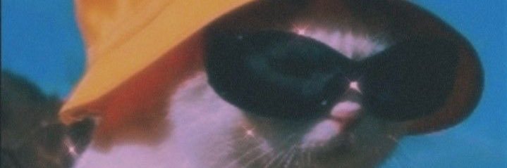 Danimoontes_'s profile banner image