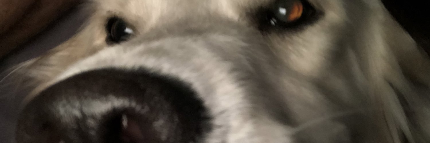 bloomdaddyy's profile banner image
