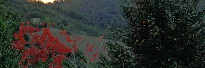 cidempoli's profile banner image
