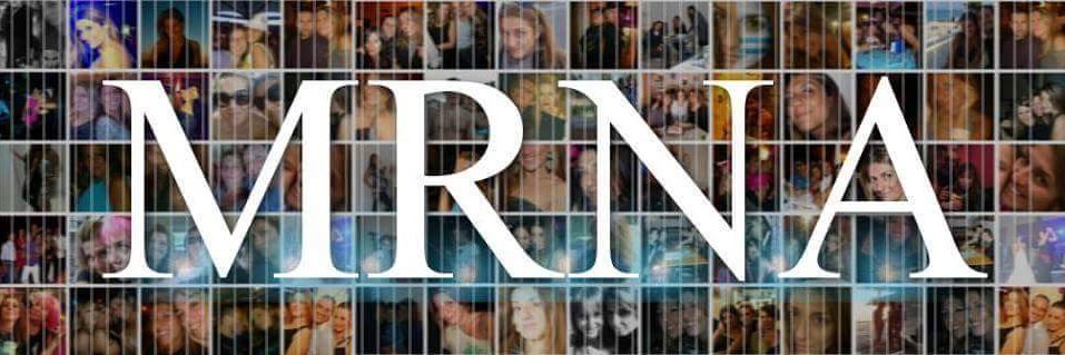 marina micozzi banner