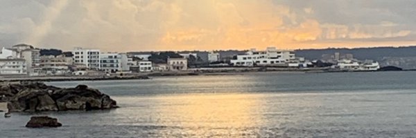 COPIB Profile Banner