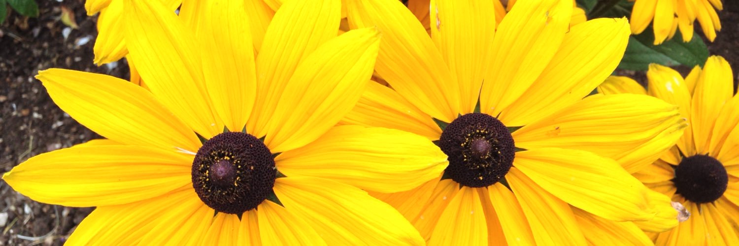 martialdutillet's profile banner image