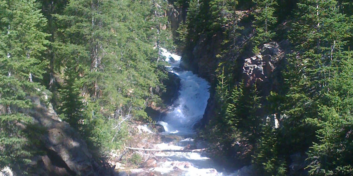 Tracey Griffith banner