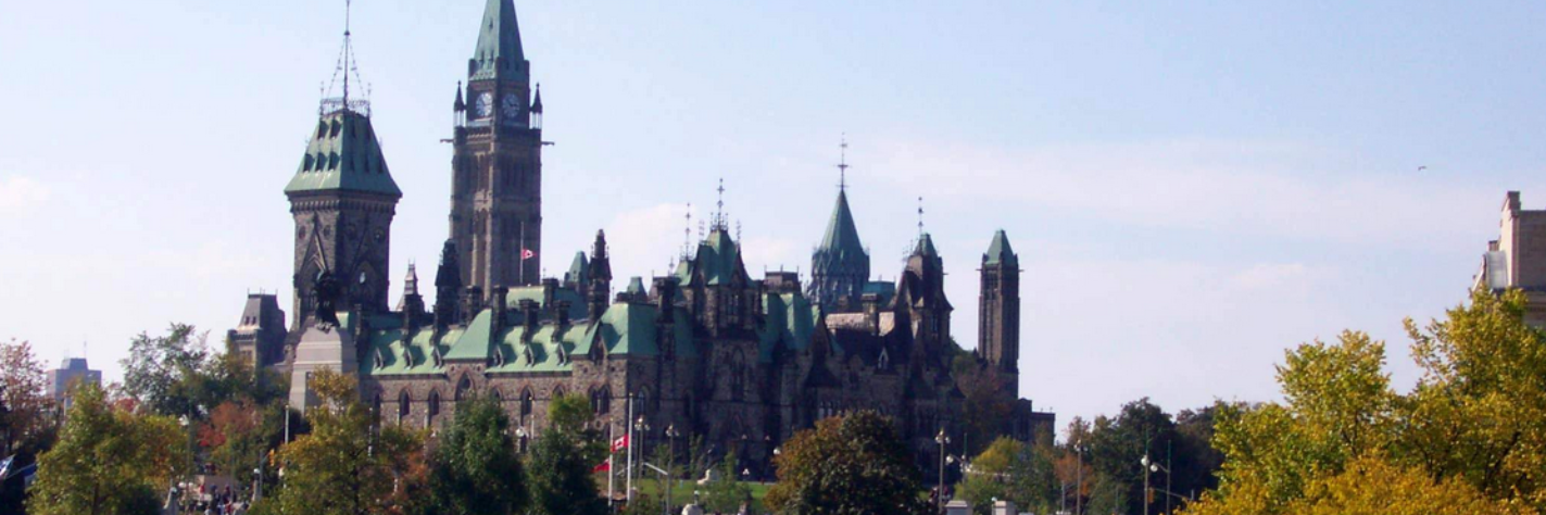 The Ottawa Network banner