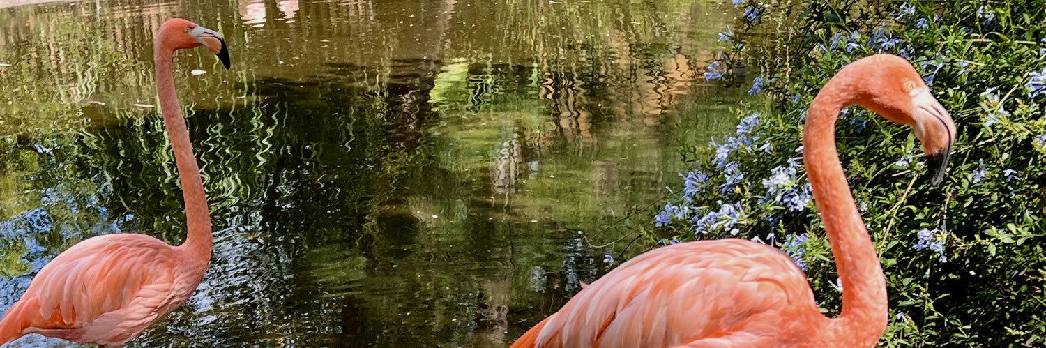 quiqe12's profile banner image