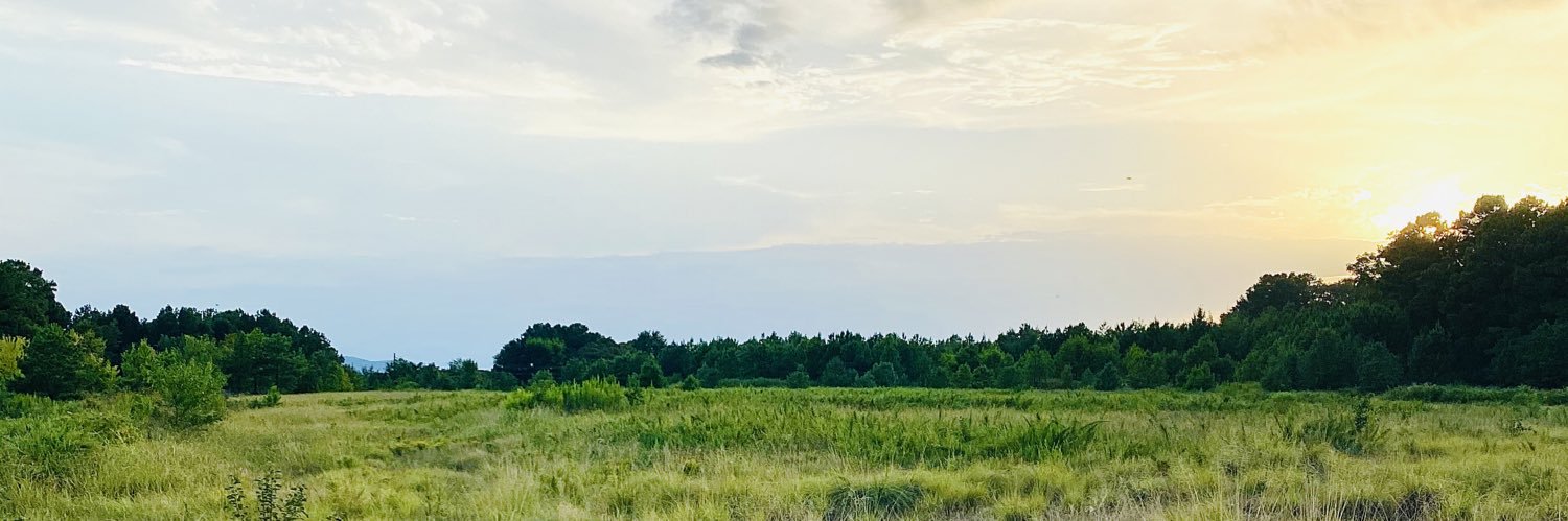lorilatch's profile banner image