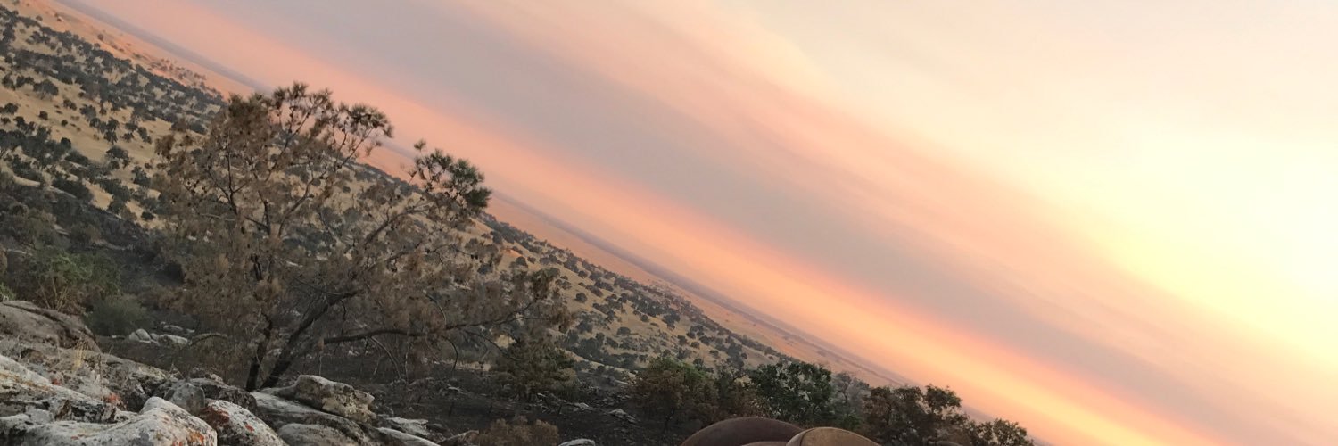 liugi02's profile banner image