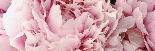 Naaastenca's profile banner image