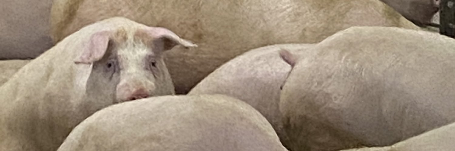 farm3066's profile banner image