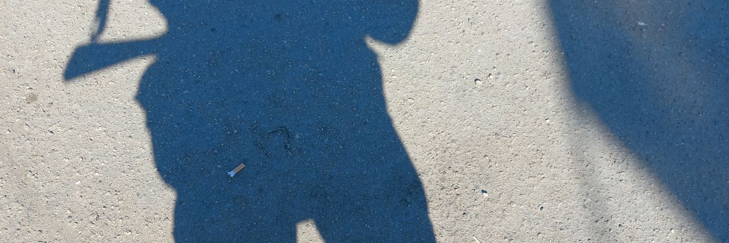 Гюнтер Апфельбаум🐳's banner