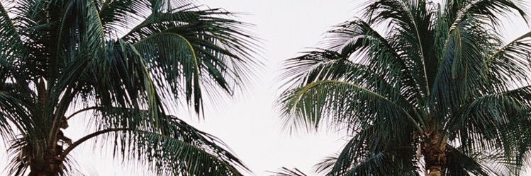 Bdnicole02's profile banner image