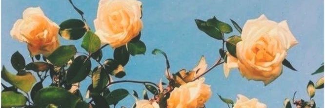 your_very_own's profile banner image