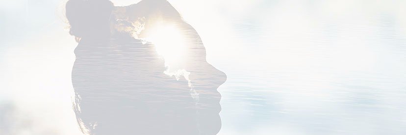 Deborah Johnson banner