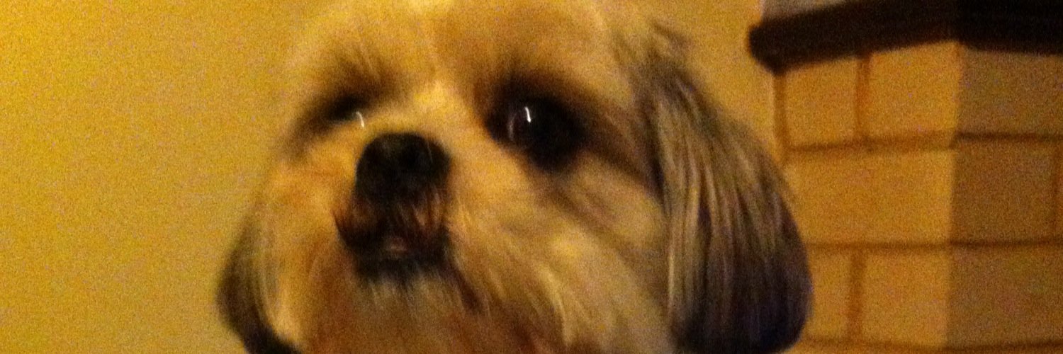 Robert Jackson banner