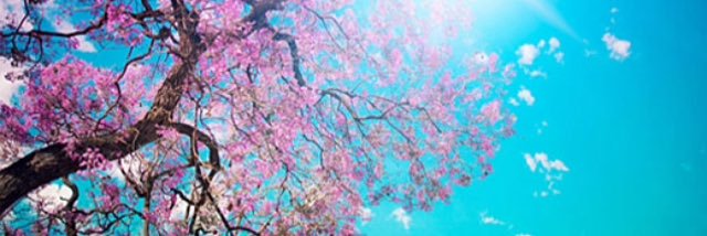 miss_kellar's profile banner image