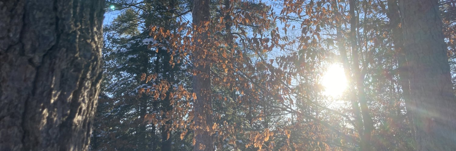 EmmaTLandry's profile banner image
