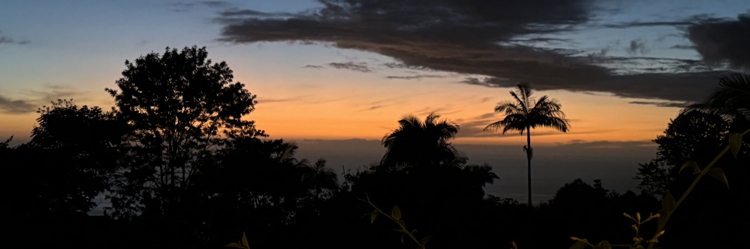 BreeAlejandra's profile banner image