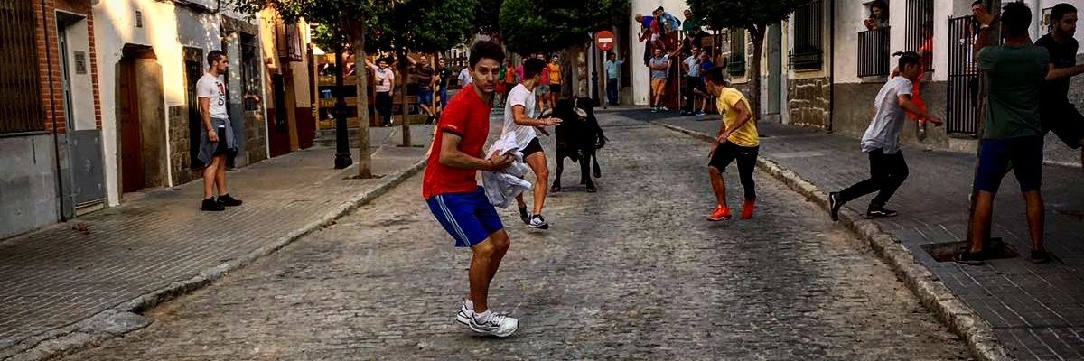 rodriguez__arm's profile banner image