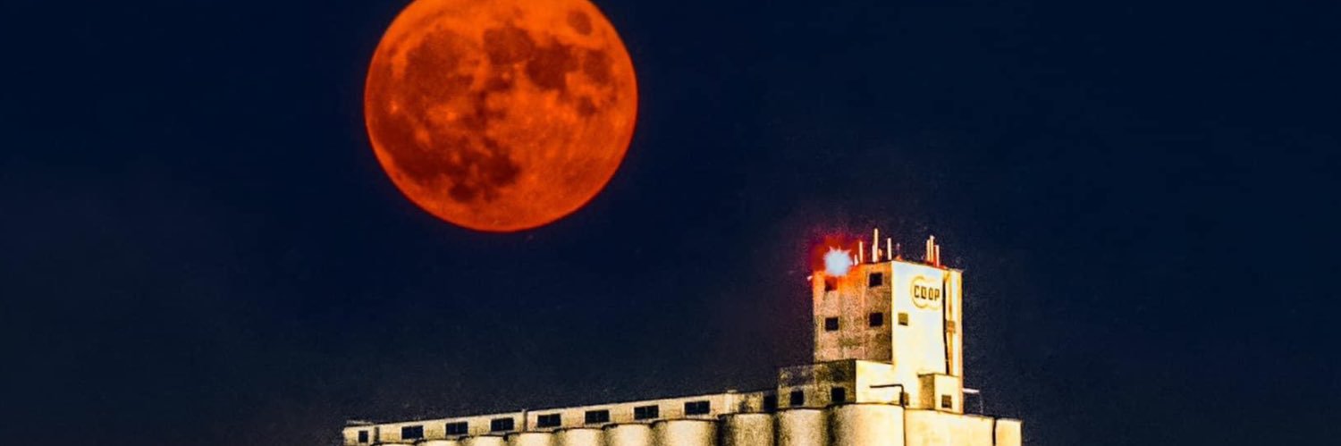 lane_hamik's profile banner image