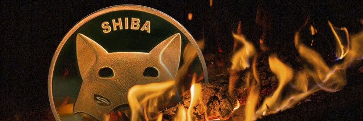 cryptojewls's profile banner image