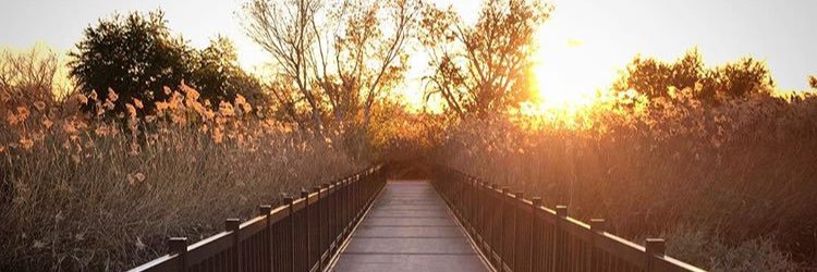 mnichole_w's profile banner image