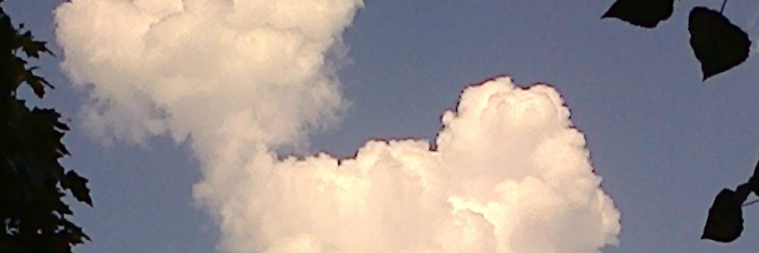 vasily726's profile banner image