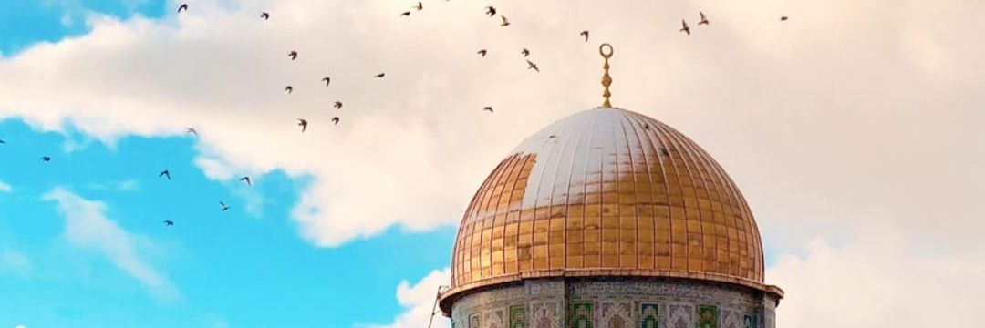 غزة𓂆's banner