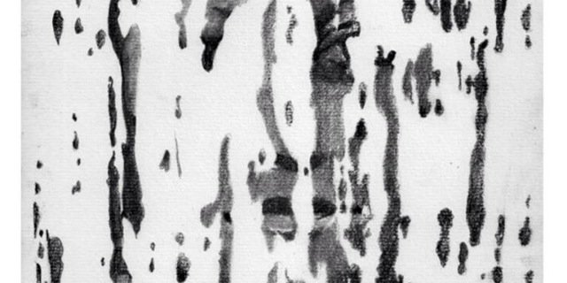 AFMatapss's profile banner image