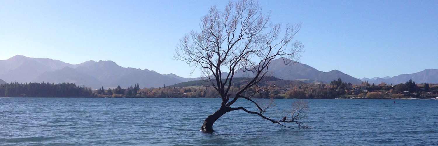 Mariano Mosca banner