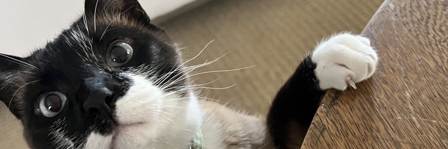 hikenny_'s profile banner image