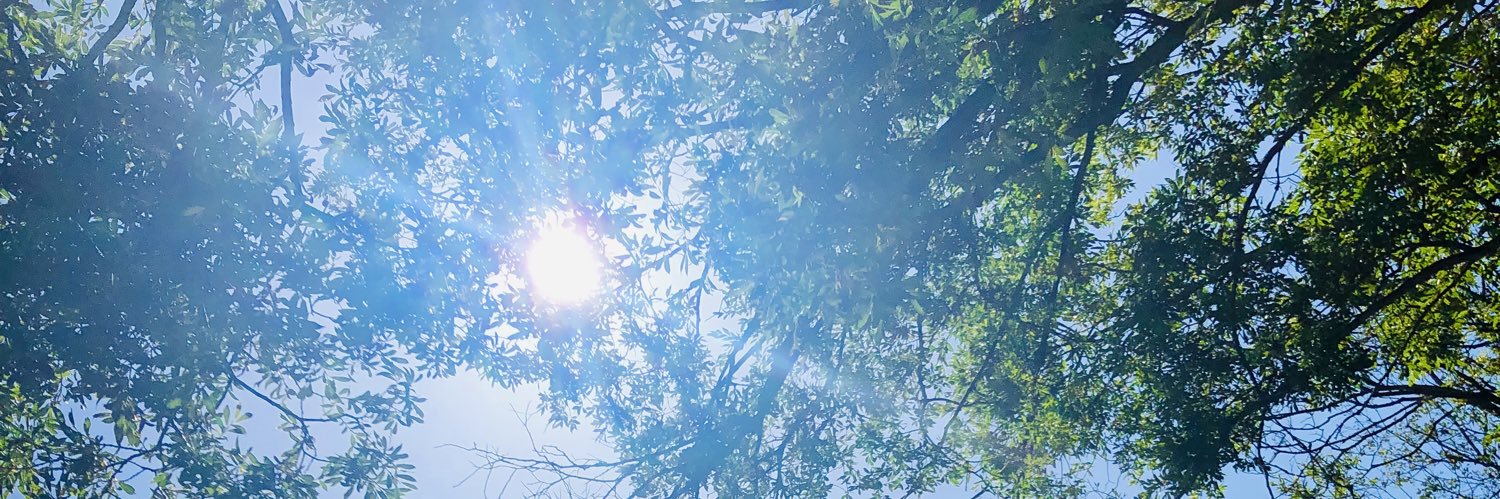 Biotrumind's profile banner image