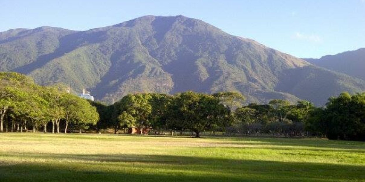 Maria Teresa Belandria banner