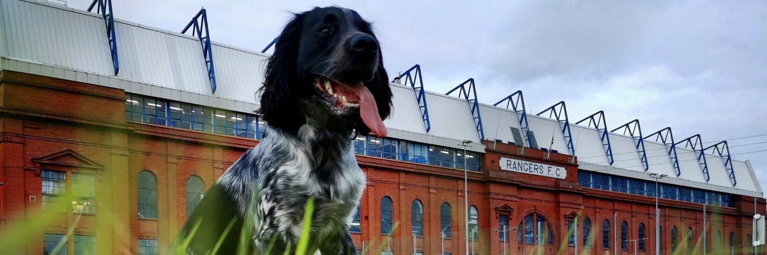 Ross_Dickie's profile banner image