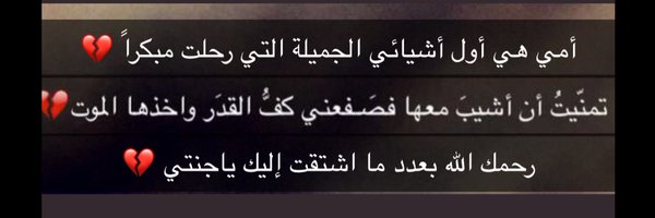 seada11211 Profile Banner