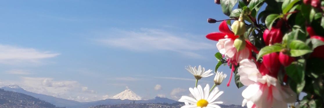 Karli banner