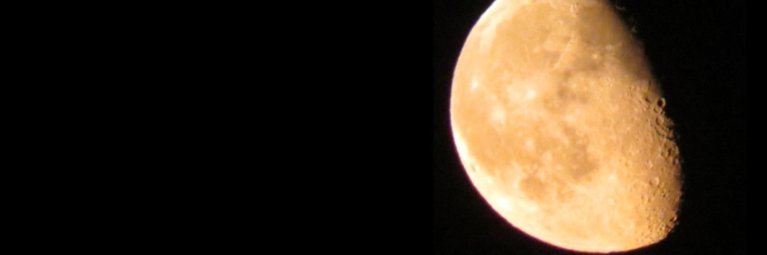 martabarbon's profile banner image