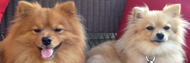THemps2's profile banner image