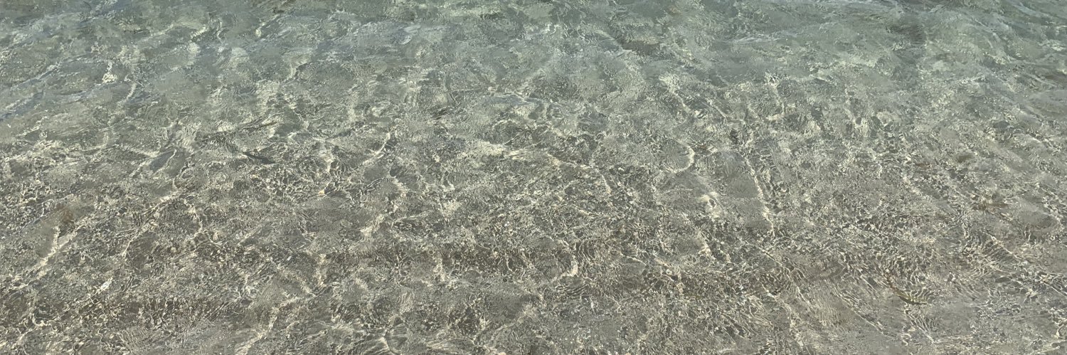 María T. Vera-Rojas banner