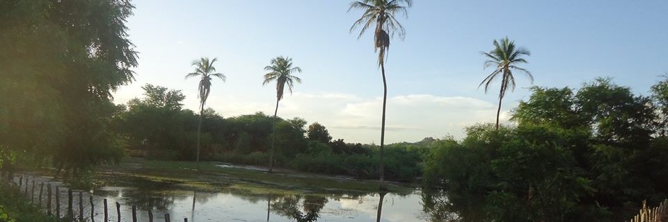 Divanicio's profile banner image