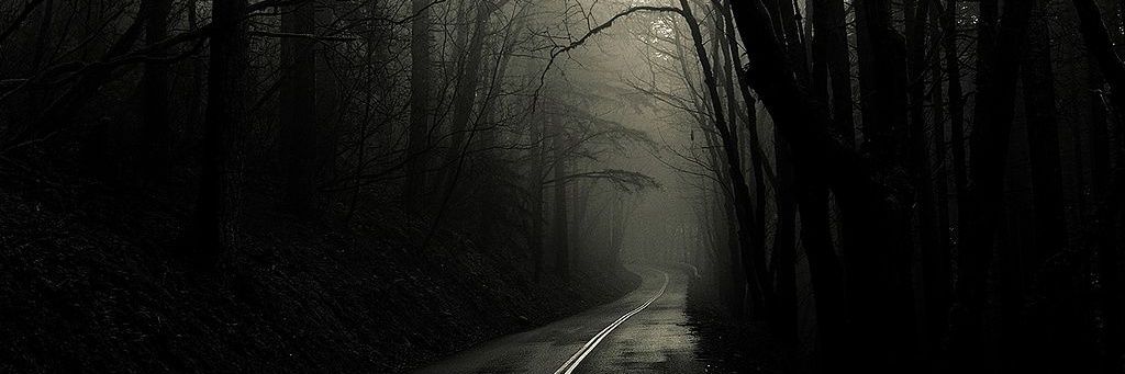 Adrian Gherfi banner