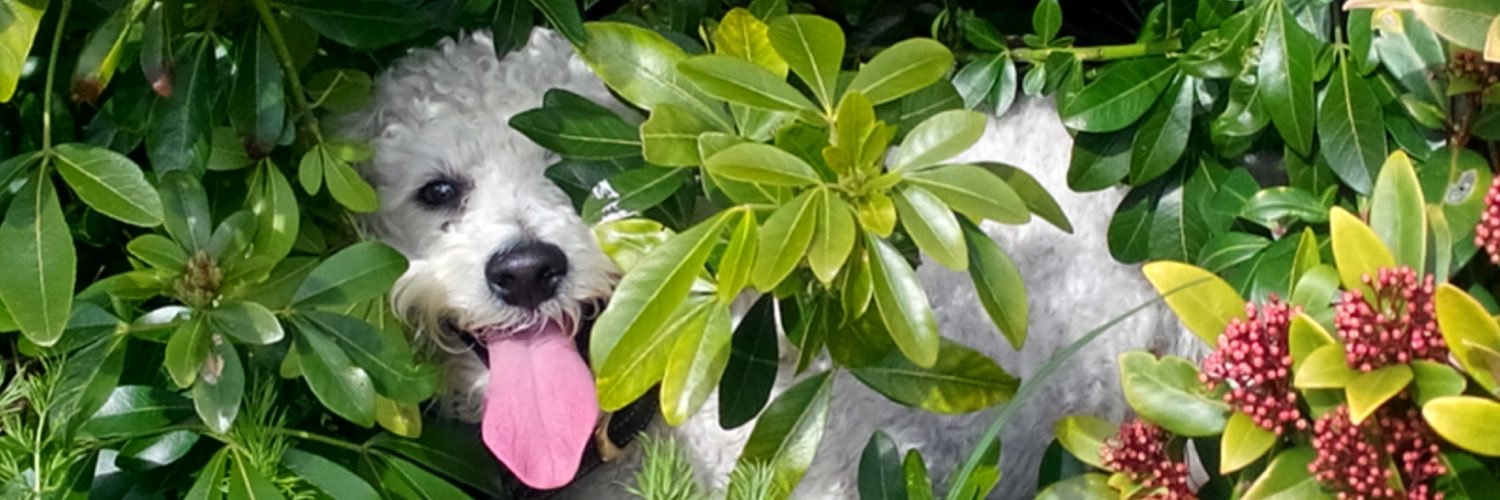 alextsmith25's profile banner image