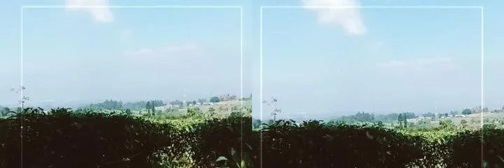 ollocknueea's profile banner image