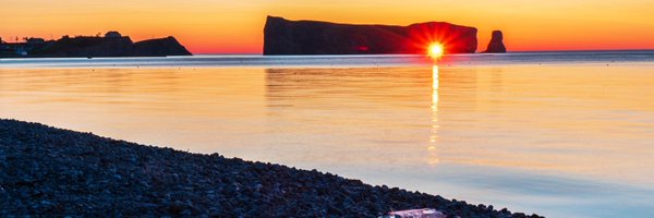 jipettes Profile Banner