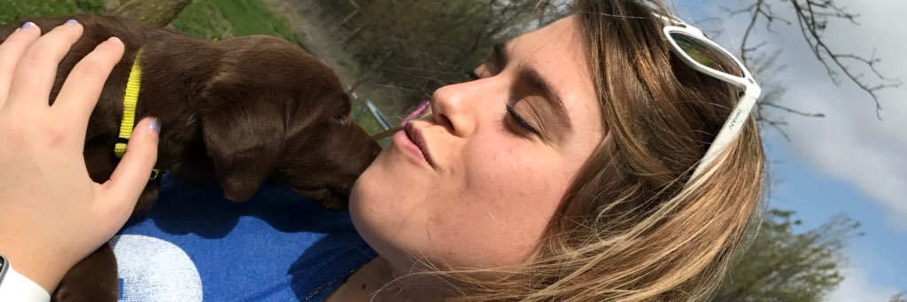 DCJoshAustin's profile banner image